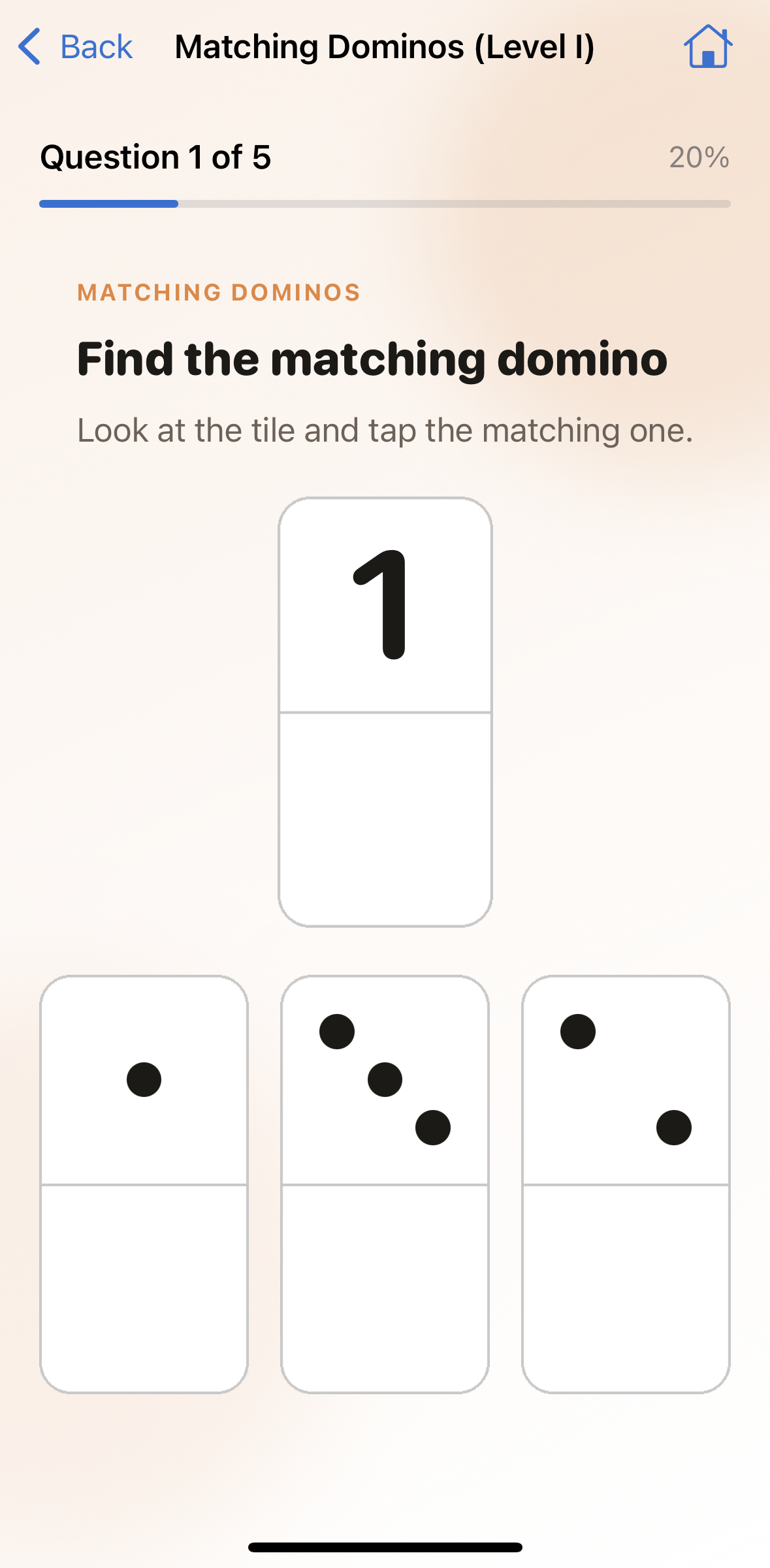 Matching Dominos exercise screenshot