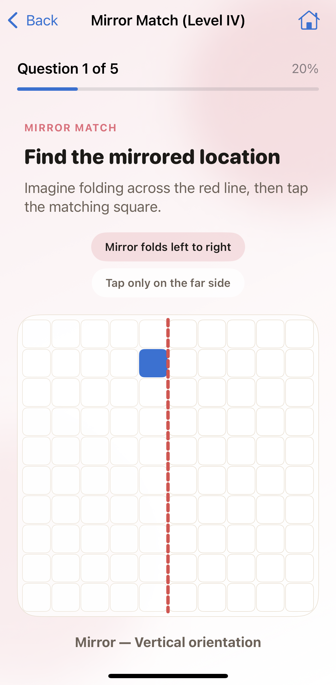 Mirror Match exercise screenshot